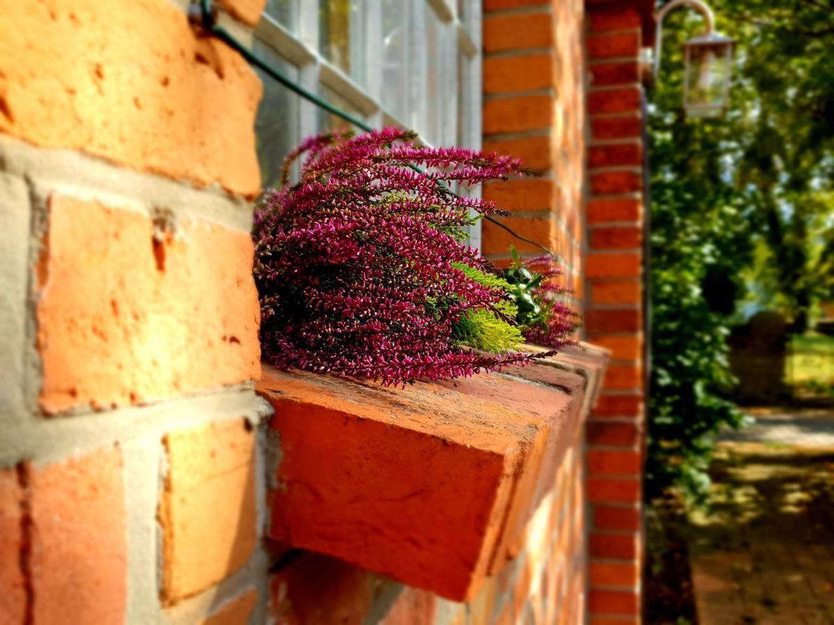 Bed and Breakfast Schmiede1860 Gross Dratow Esterno foto
